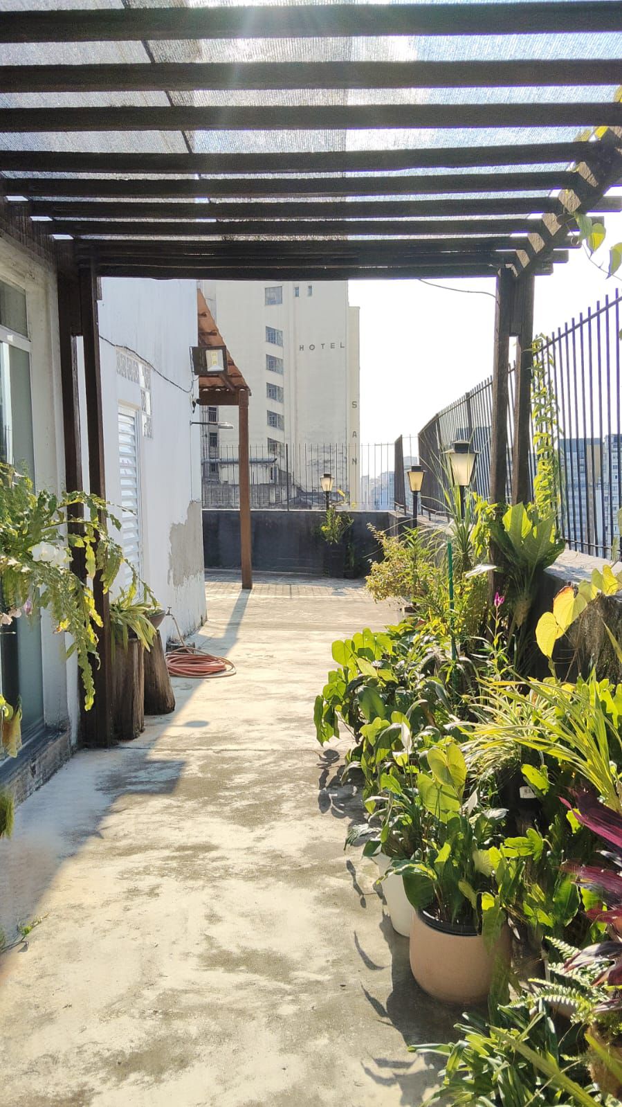 Corredor externo com plantas e iluminação natural